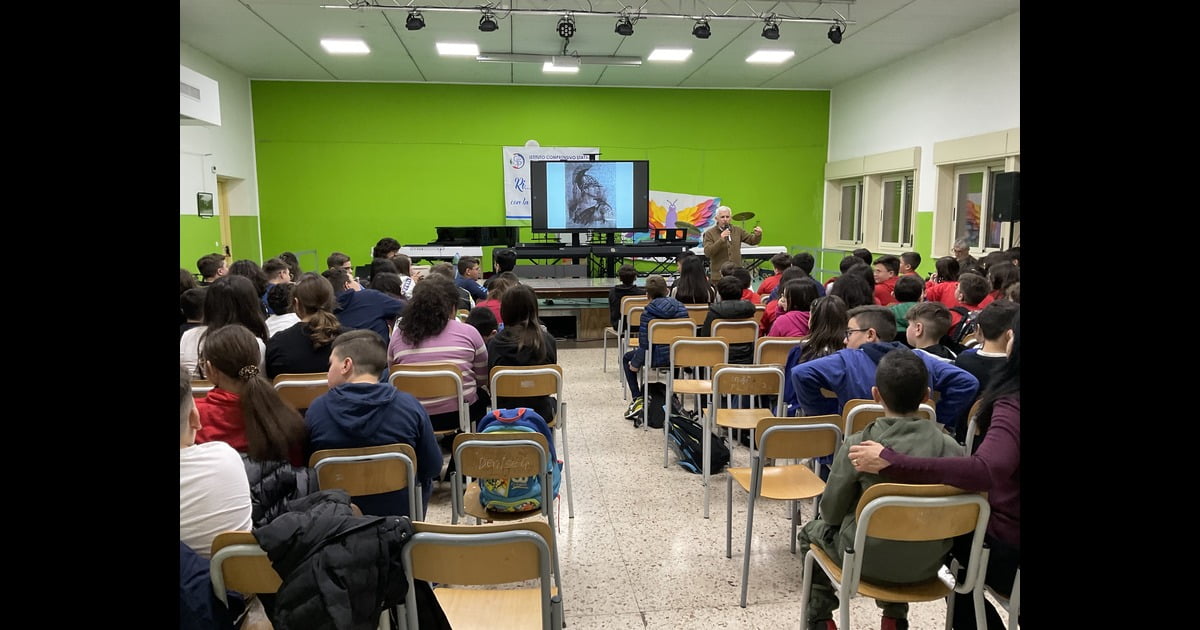 La storia dei siculi